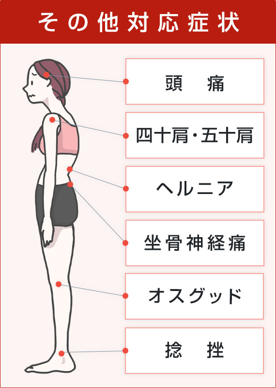 その他対応症状